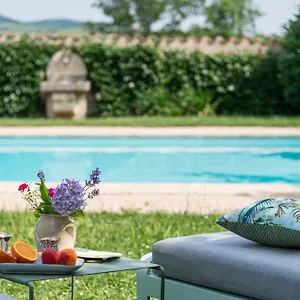 Domaine De La Serve Lancie